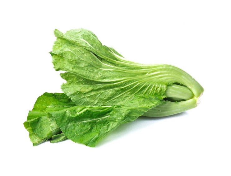 「滿足你對新鮮蔬菜的所有...