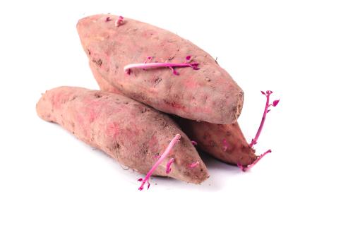 蔬菜配送中心- 新鮮蔬菜...