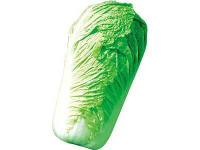 蔬菜配送中心-新鮮蔬菜送...