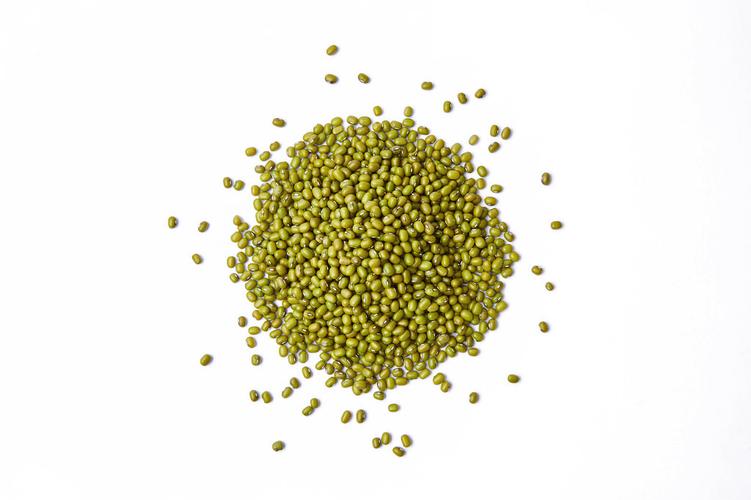 每周新鮮蔬菜直送 – 您...