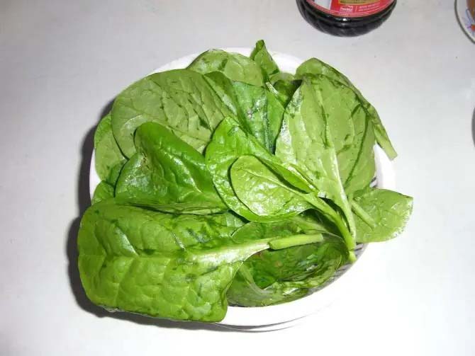 厚街食材直送，新鮮不等待