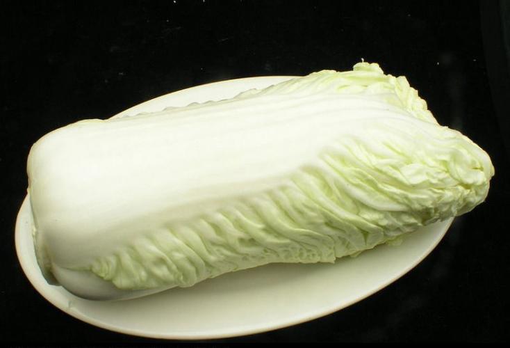 食材配送招標：優質供應商...