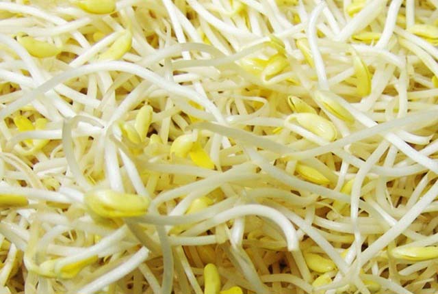 東莞市頂尖餐飲配送服務-...