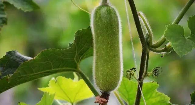 網購生鮮，品質保證！ (...