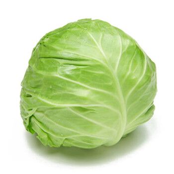 美味蔬菜直送，豐收時節必...