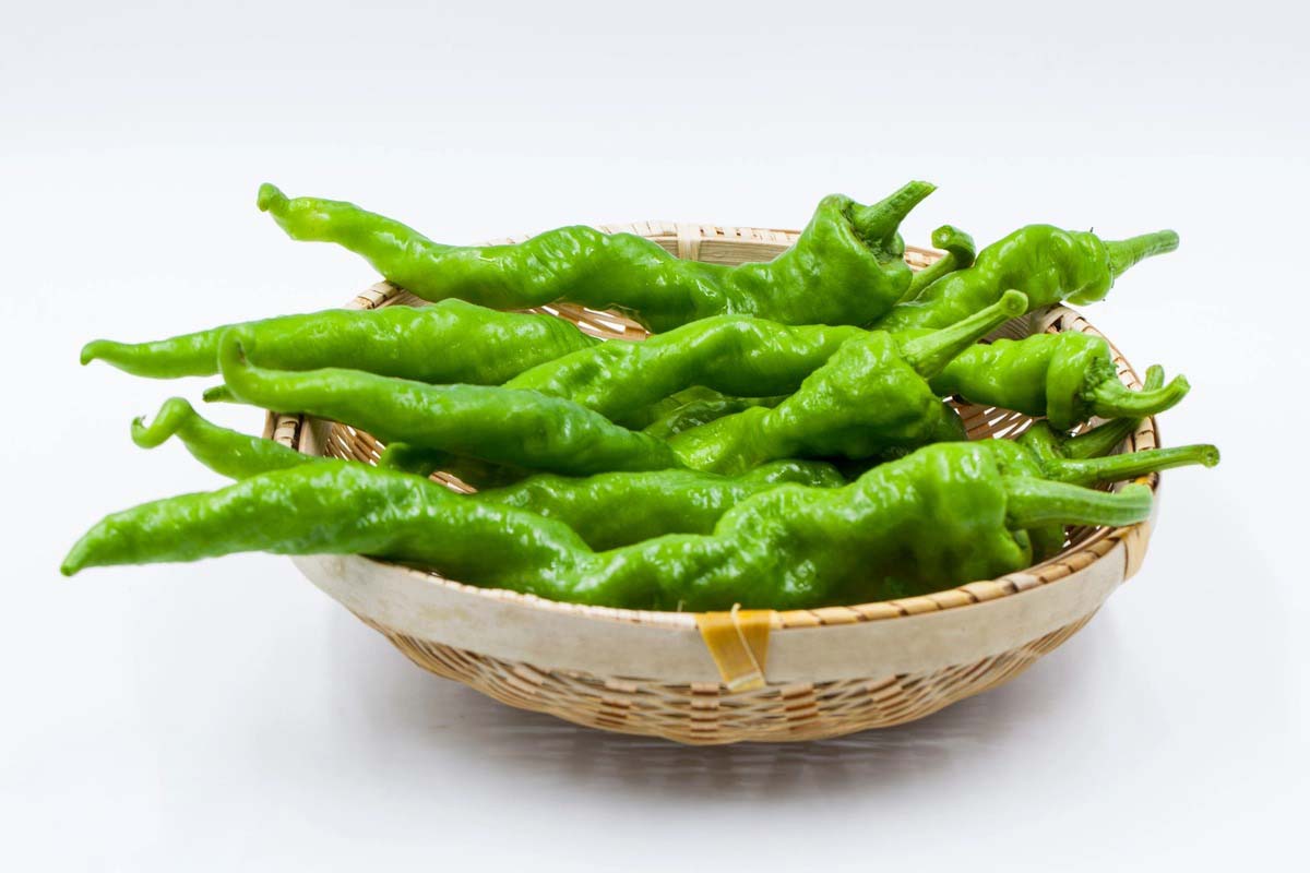 深圳蔬菜配送網(wǎng)