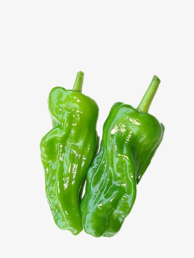 如何選擇高檔蔬菜配送公司