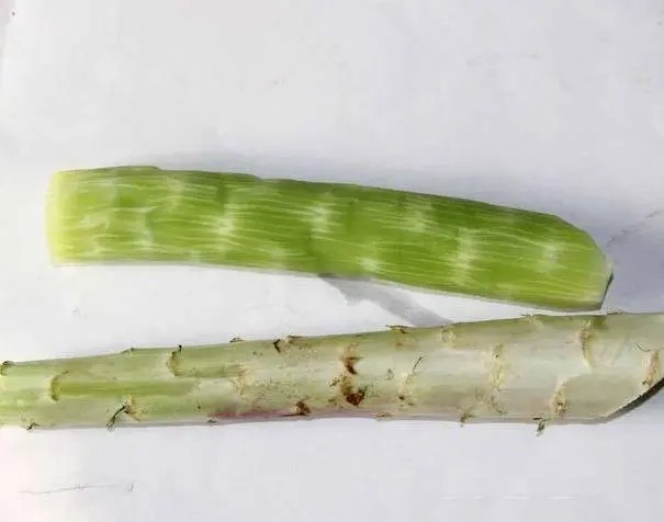 新鮮肉類送到家，一站式肉...