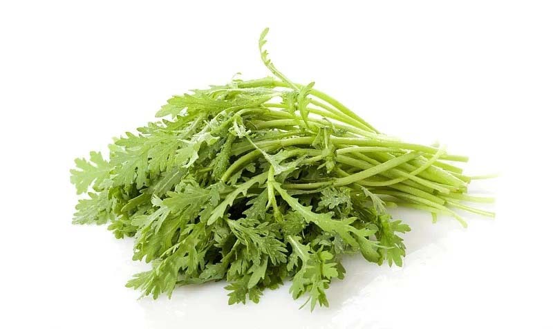 蔬菜凍品配送公司的市場需...