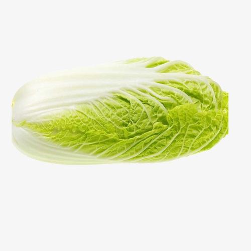 新余配送蔬菜電話多少號(hào)