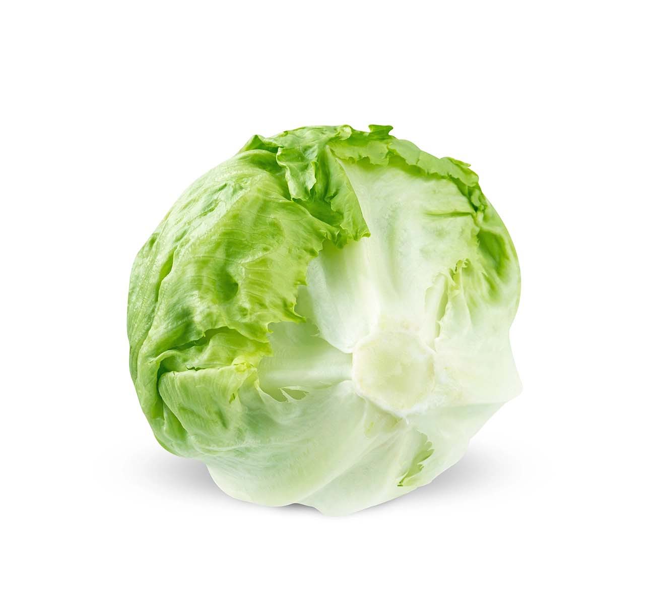 寶山區當地蔬菜配送公司