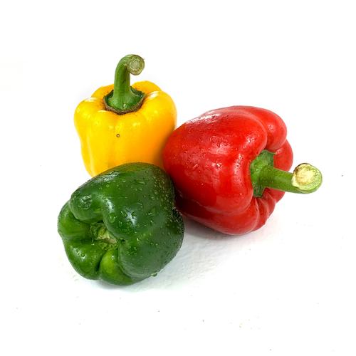 廣州酒店蔬菜配送有哪些公...