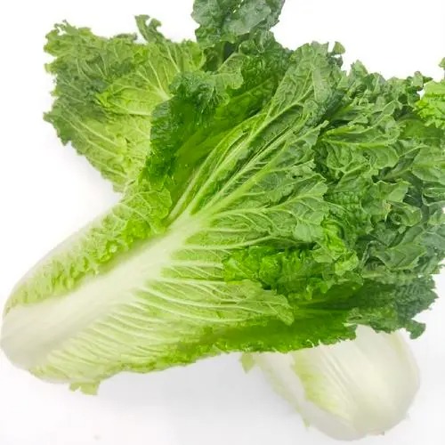 九井灣水果蔬菜配送公司